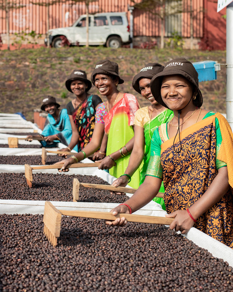 séchage des cerises de café dans la vallée d'Araku
