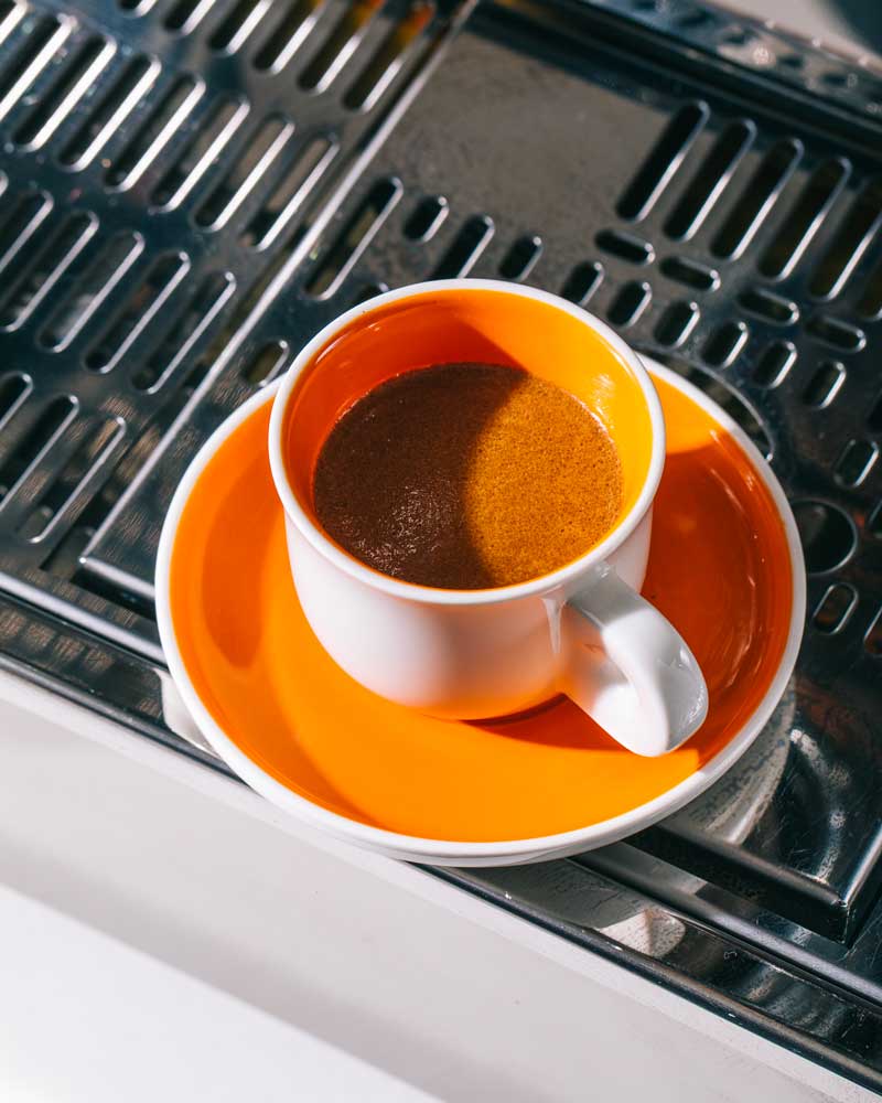 Café grand cru Araku : meilleur café de spécialité